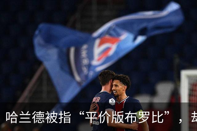 哈兰德被指“平价版布罗比”，却与客队球迷互动
